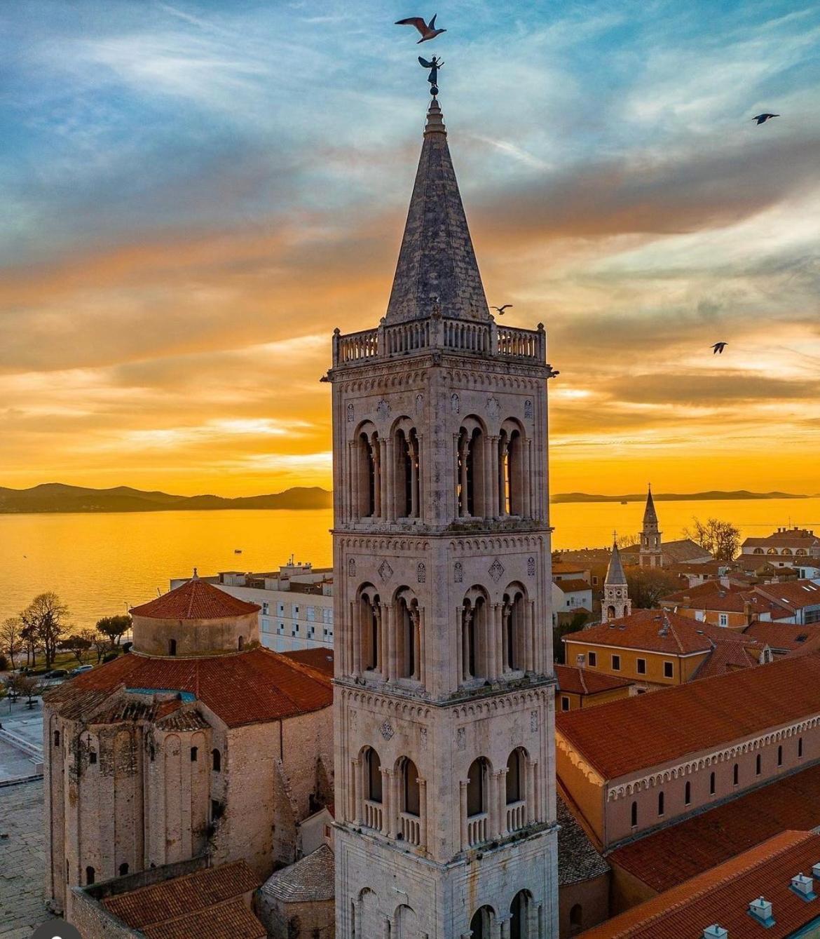 Kraljic * Zadar